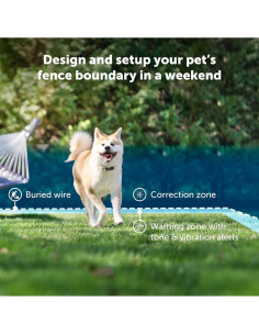 Collar Eléctrico para Perros PetSafe - Receptor Impermeable 2