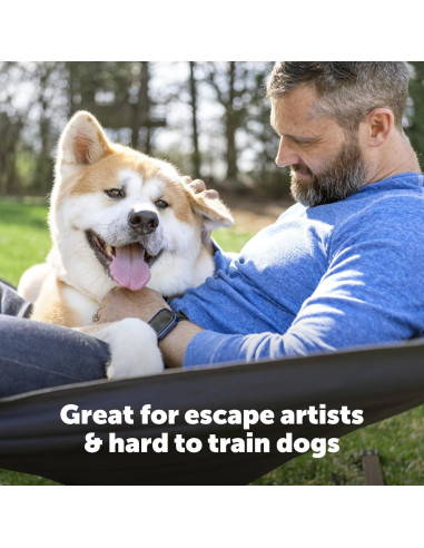 Collar Eléctrico para Perros PetSafe - Receptor Impermeable