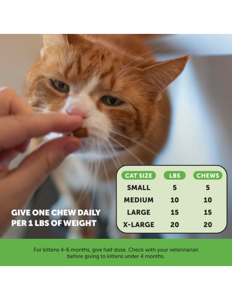 Suplemento Probioticos Gatos Pet Honesty 30 Días Pollo