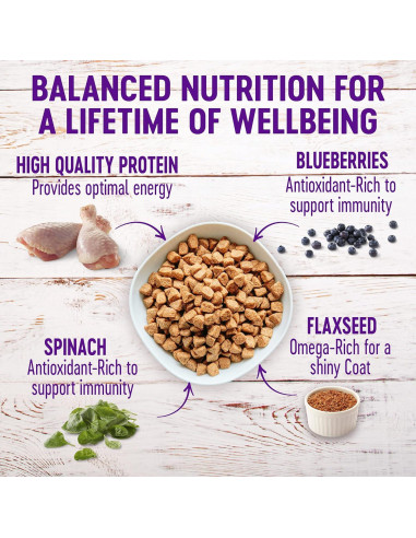 Comida Seca para Perros Wellness Pollo y Avena 13,61 kg