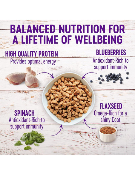 Comida Seca para Perros Wellness Pollo y Avena 13,61 kg