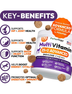 Multivitamínico Masticable para Perros Petsology 170 Unidades 2