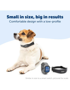 Collar Antiladridos PetSafe NanoBark para Perros Pequeños y Medianos 2