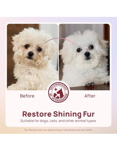 Toallitas Desodorantes HICC para Mascotas 100 Unidades