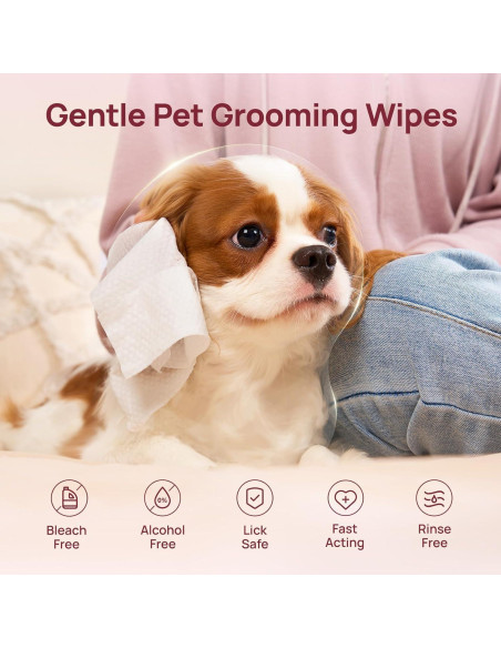 Toallitas Desodorantes HICC para Mascotas 100 Unidades