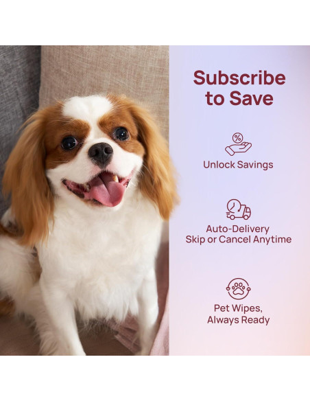 Toallitas Desodorantes HICC para Mascotas 100 Unidades