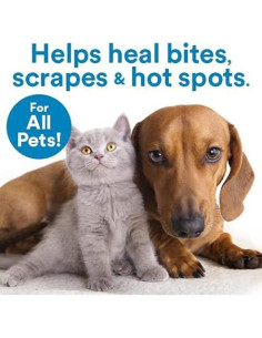 Spray Antimicrobiano SkinSmart para Mascotas 240ml 2