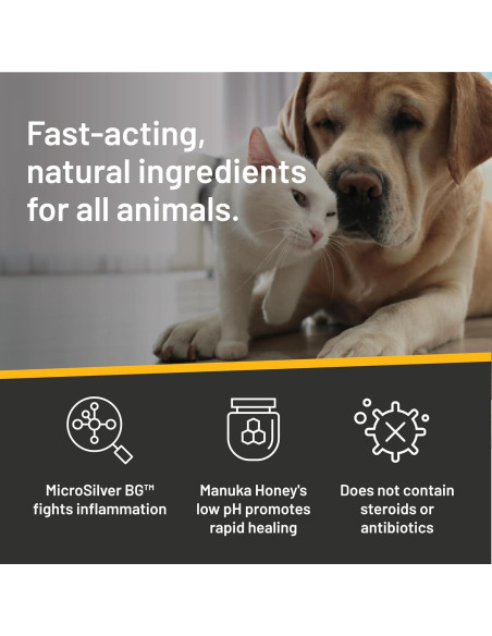 Ungüento Absorbine Silver Honey 56g Cuidado Heridas Mascotas