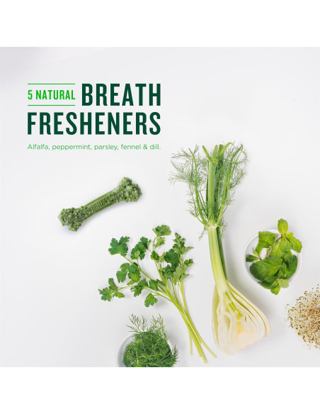 Minties Masticables Dentales para Perros Pequeños 0,45 kg