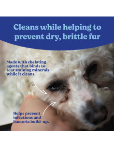 Toallitas Oculares Hipoalergénicas Angels' Eyes 100 Unidades 2