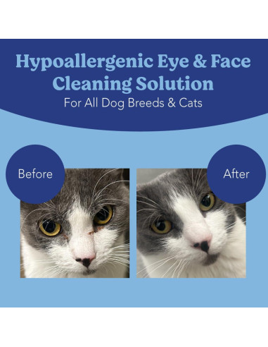 Toallitas Oculares Hipoalergénicas Angels' Eyes 100 Unidades