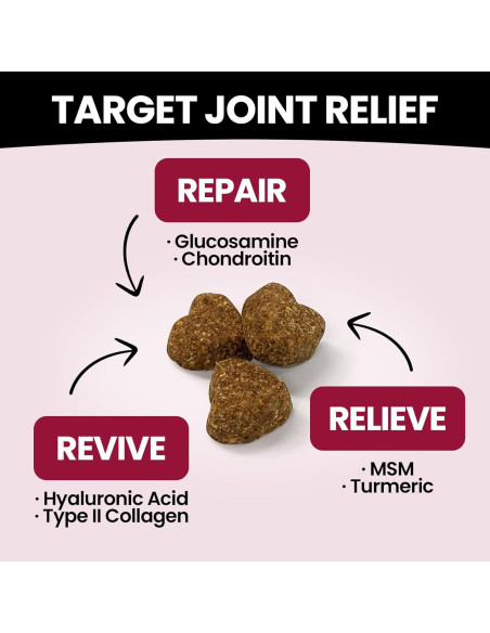 Suplemento de Glucosamina BuddyCheer para Perros 180 Chews