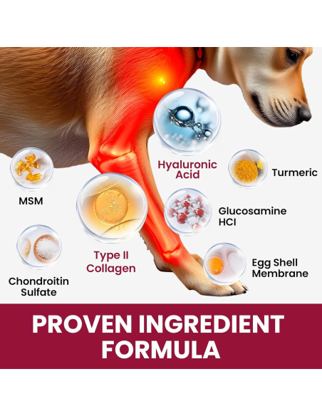 Suplemento de Glucosamina BuddyCheer para Perros 180 Chews