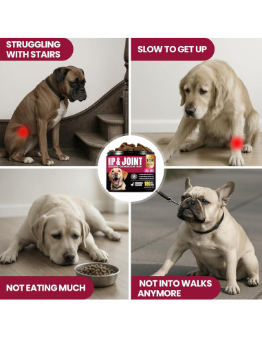 Suplemento de Glucosamina BuddyCheer para Perros 180 Chews