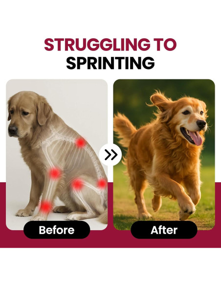 Suplemento de Glucosamina BuddyCheer para Perros 180 Chews