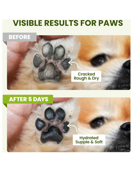 Bálsamo Hidratante para Patas y Nariz de Perro PawSono 60g