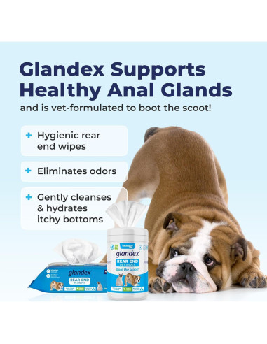 Toallitas Glandex para Perros Vetnique 75 Unidades