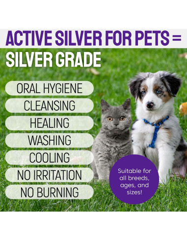 Spray Dental Silver Grade para Perros y Gatos 113g