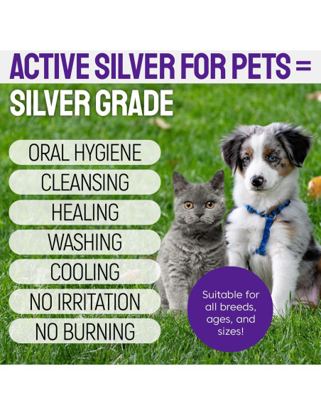 Spray Dental Silver Grade para Perros y Gatos 113g