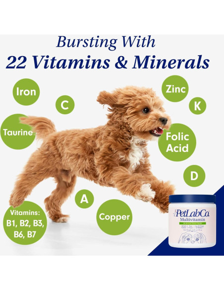 Multivitaminas Masticables para Perros PetLab Co. 22 en 1