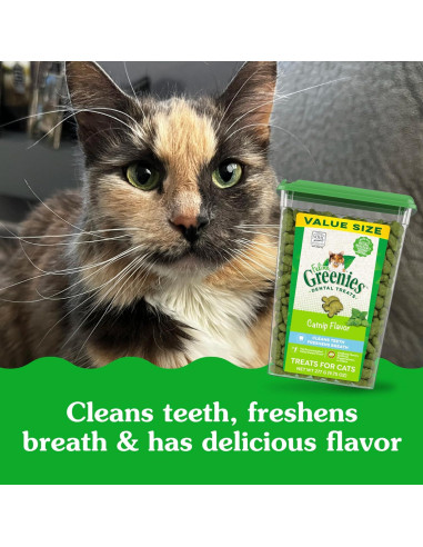 Greenies Feline Treats Dentales Catnip 280g - Gato Adulto