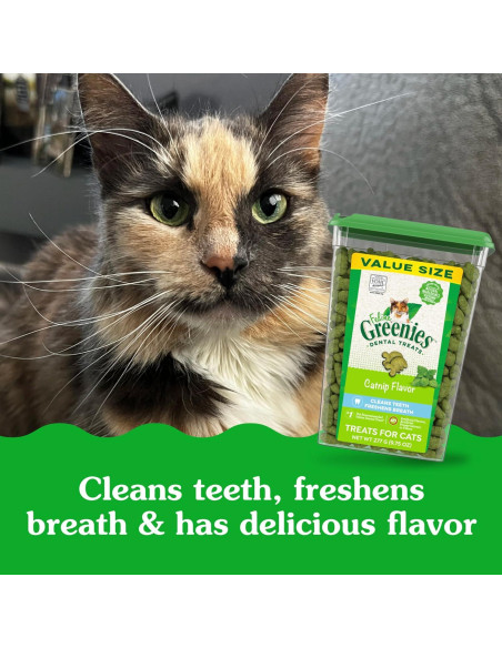 Greenies Feline Treats Dentales Catnip 280g - Gato Adulto
