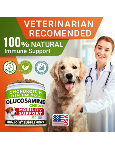 Galletas de Glucosamina para Perros STRELLALAB 120 Unidades Pollo