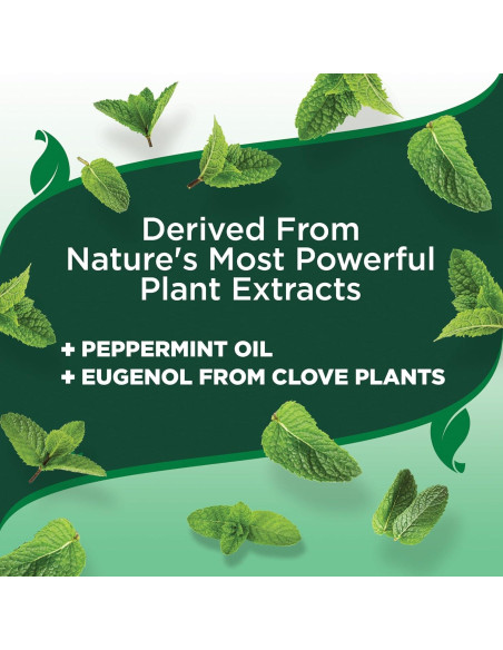 Spray contra pulgas y garrapatas Vet's Best 0,91 L