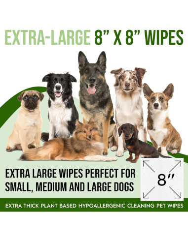 Toallitas Orgánicas para Perros y Gatos Petazy 400 Unidades