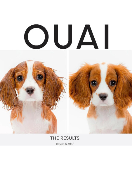 Champú para Perros OUAI Fur Bebé 473ml Aroma Mercer Street