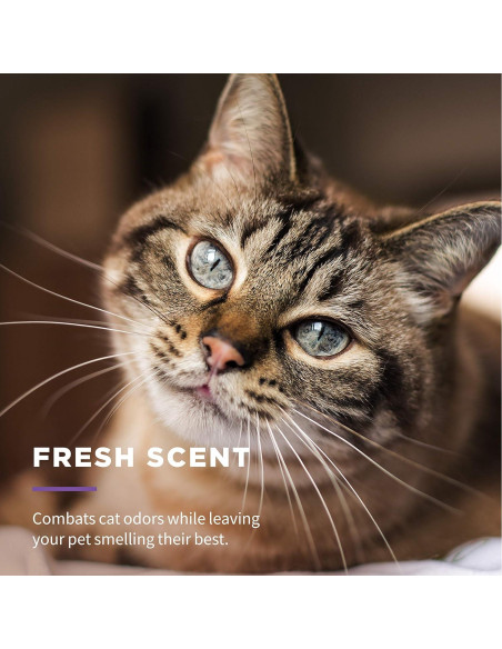 Toallitas Húmedas para Gatos Wet Ones 50 Unidades Aloe Vera