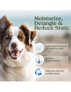 Spray Desodorante para Perros Pawfume Cinta Azul 118 ml 2