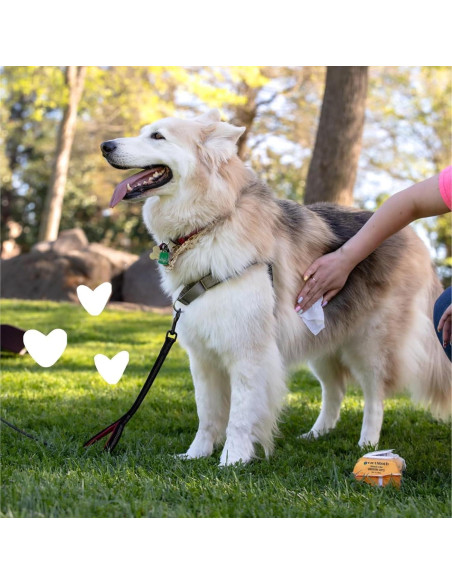 Toallitas para Mascotas earthbath 100 Contenido Vainilla y Almendra