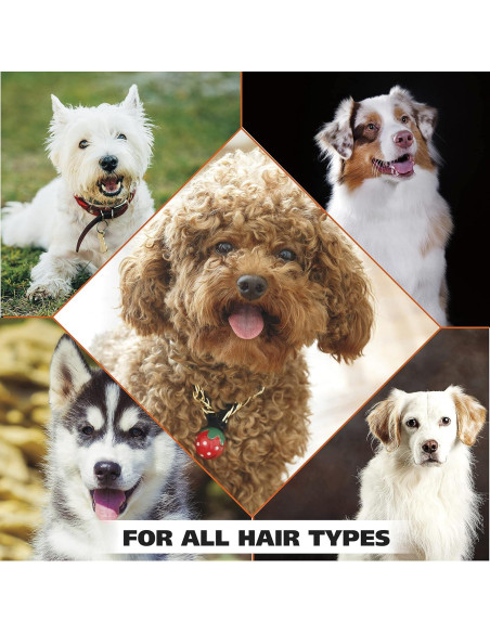 Champú para perros Wahl USA 64 oz Avena y Verbena de Lima