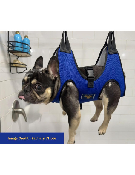 Hamaca de Aseo para Perros Pequeños All Star Pets - Kit Completo