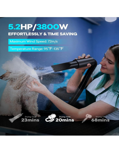 Secador de Pelo para Perros CHANGZHOU 5.2HP 3800W Ajustable