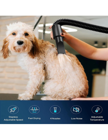 Secador de Pelo para Perros CHANGZHOU 5.2HP 3800W Ajustable