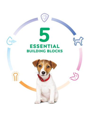 Comida Seca para Cachorros Hill's 2,04 kg Pollo y Arroz