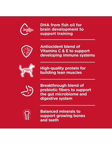 Comida Seca para Cachorros Hill's 2,04 kg Pollo y Arroz
