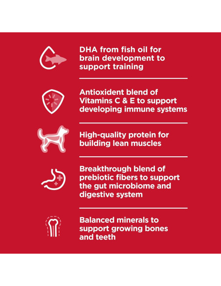 Comida Seca para Cachorros Hill's 2,04 kg Pollo y Arroz
