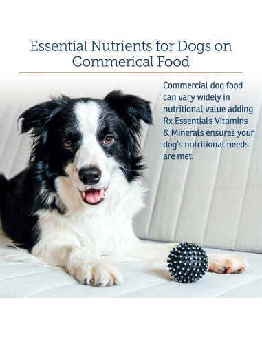 Vitaminas y Minerales para Perros Rx Vitamins 227 g