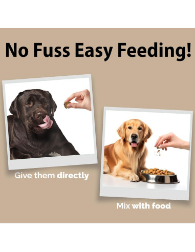 Suplemento Articular para Perros Pet Chef 248g - Glucosamina