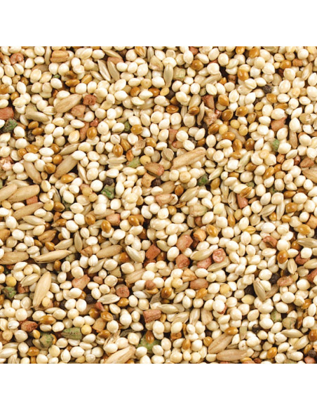 Mezcla Diaria Nutrición Wild Harvest para Aves 4,54 kg Naranja