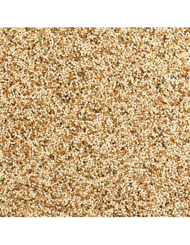 Mezcla Diaria Nutrición Wild Harvest para Aves 4,54 kg Naranja