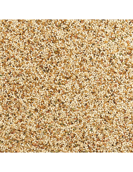 Mezcla Diaria Nutrición Wild Harvest para Aves 4,54 kg Naranja