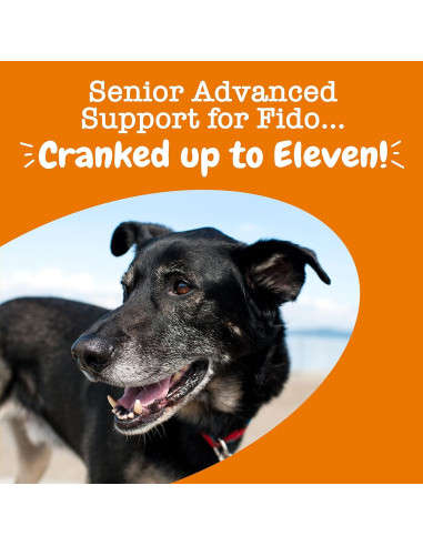 Golosinas Multivitamínicas Zesty Paws para Perros Mayores 90ct