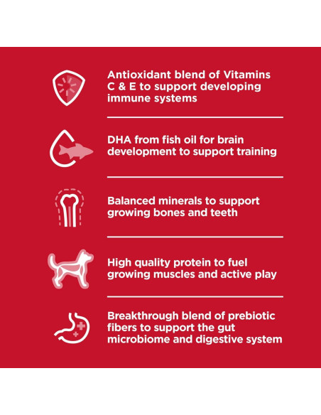 Comida Seca para Perros Hill's Science Diet 2,04 kg Pollo