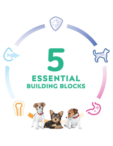 Comida Seca para Perros Hill's Science Diet 2,04 kg Pollo