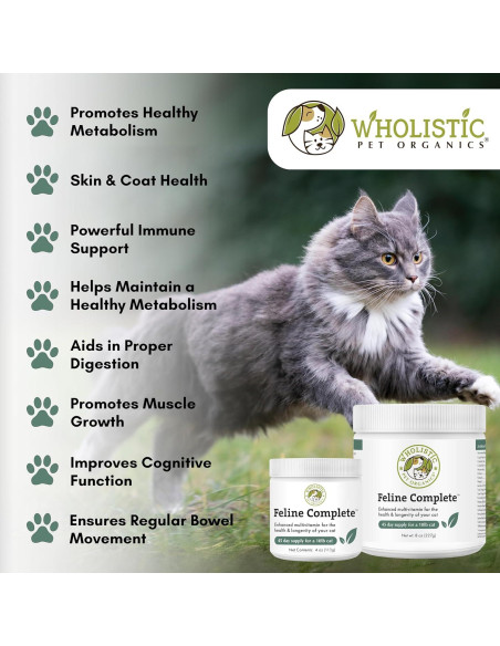 Suplemento Multivitamínico Probiotico para Gatos Wholistic 226g
