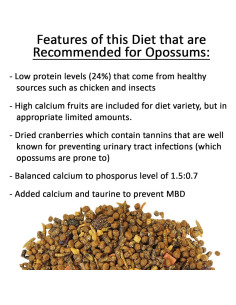 Comida para Opossum Exotic Nutrition 0.45 kg Dieta Completa 2